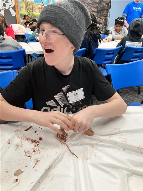 Squid dissection at SeaQuest
