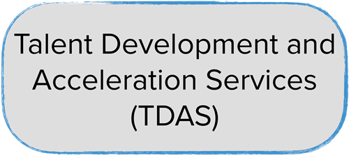 Talent Development and Acceleration Services button