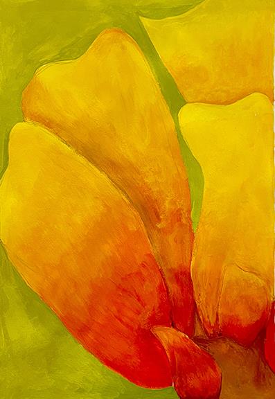 Acrylic closeup drawing of yellow, orange and red flower petals