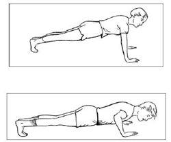 Examples of a pushup