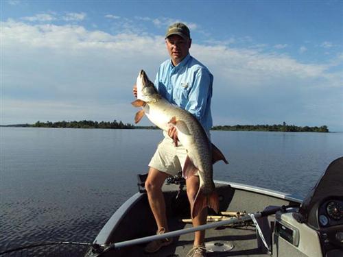 Mr. Vaerst's Largest Fish:  a 51" Muskie caught in 2012 on Lake of the Woods in Canada 